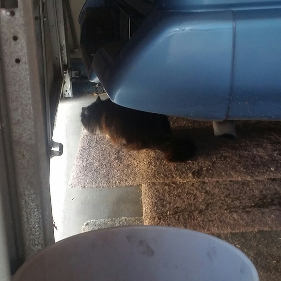 🎍Happy 2024 year of the 🪵 dragon 🎋🎍🎉 - Picture 6 of 17